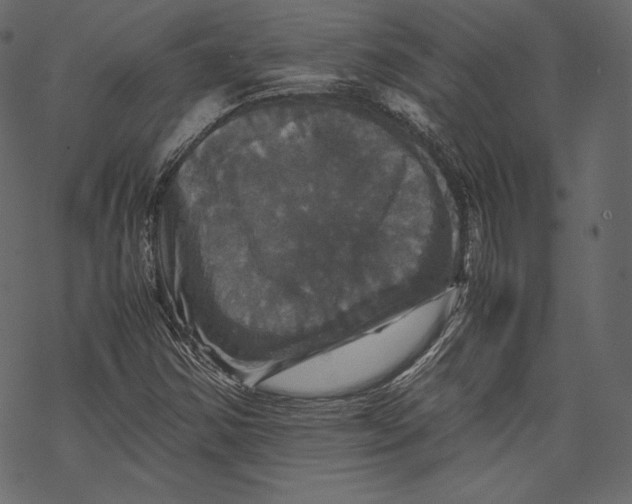 X0000067891354200605041542