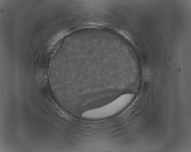 X0000067891355200605041542