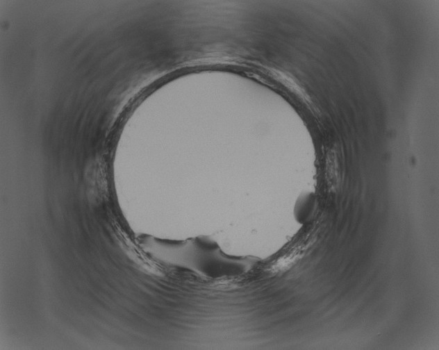 X0000067891356200605041542