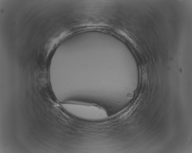 X0000067891357200605041542