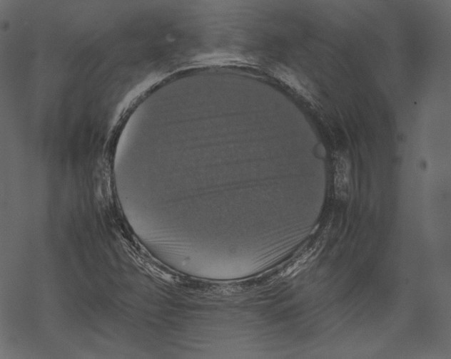 X0000067891358200605041542