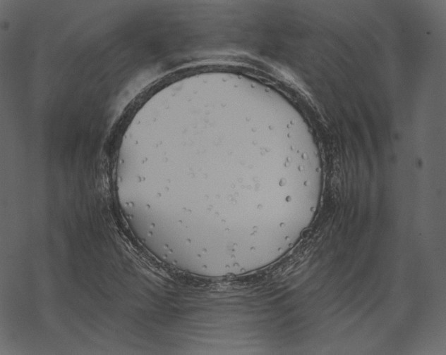 X0000067891360200605041542