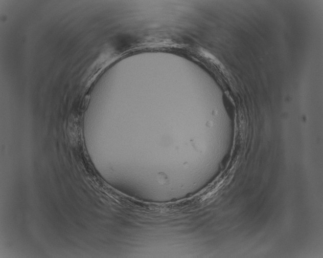 X0000067891361200605041542