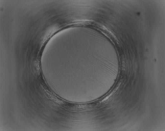 X0000067891362200605041542