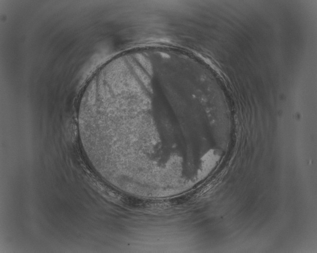 X0000067891363200605041542