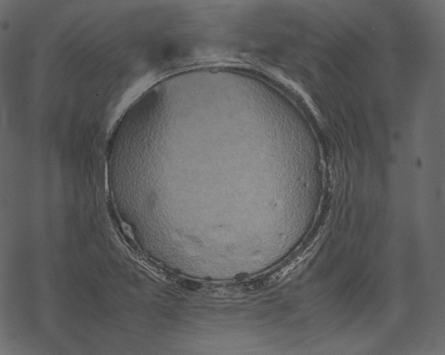 X0000067891365200605041542