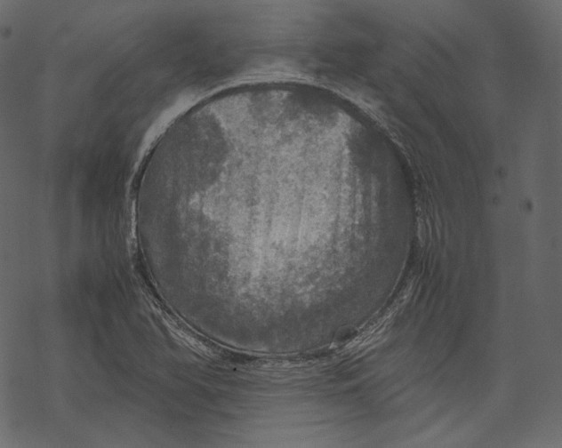 X0000067891366200605041542