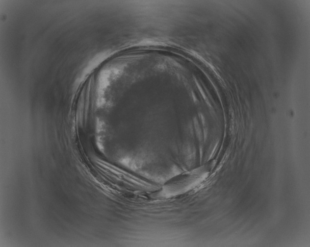 X0000067891367200605041542