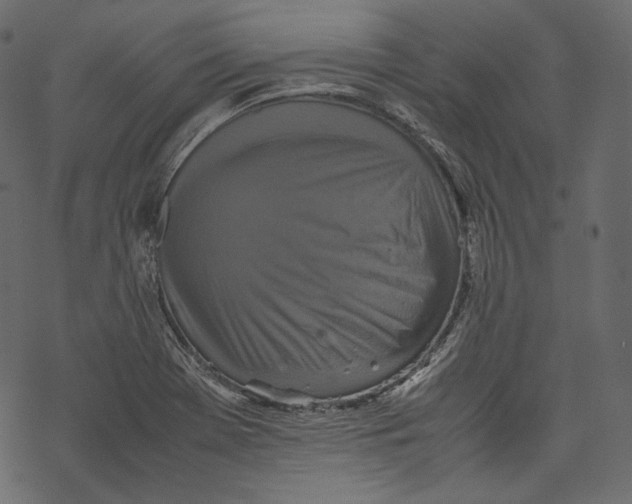 X0000067891369200605041542