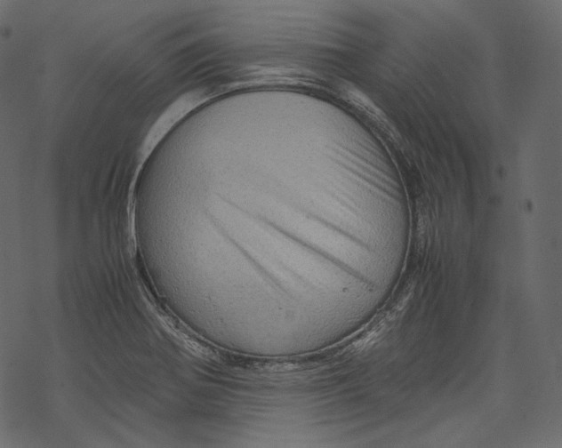 X0000067891370200605041542