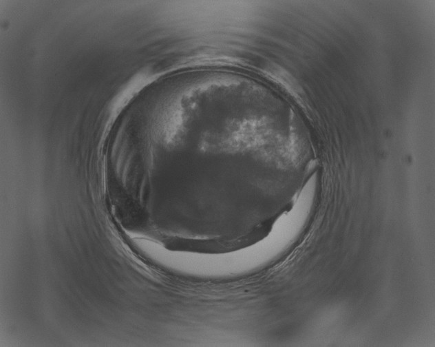 X0000067891371200605041542