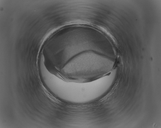 X0000067891372200605041542