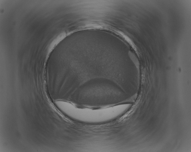 X0000067891373200605041542