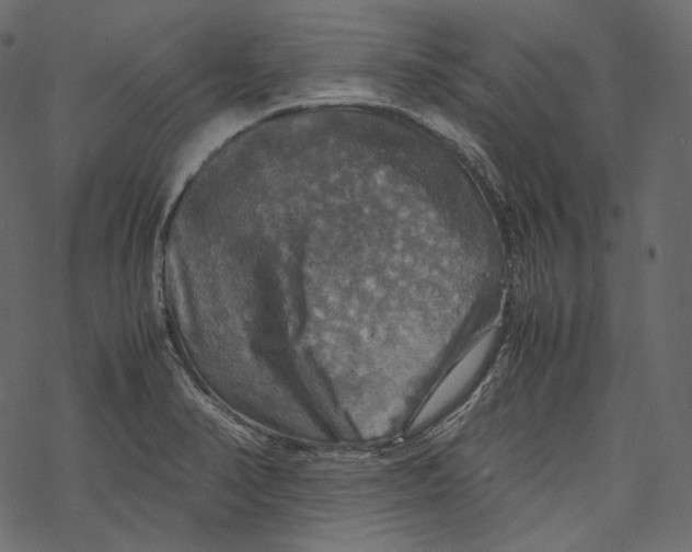 X0000067891374200605041541