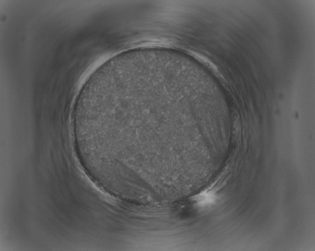 X0000067891375200605041541