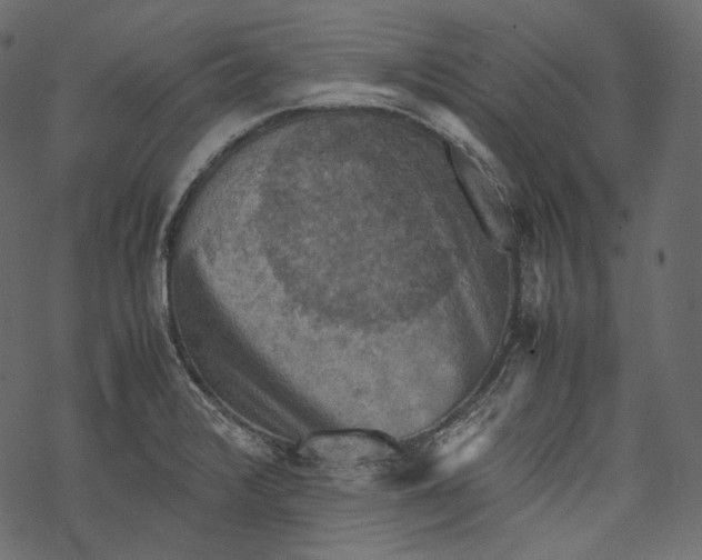 X0000067891376200605041541