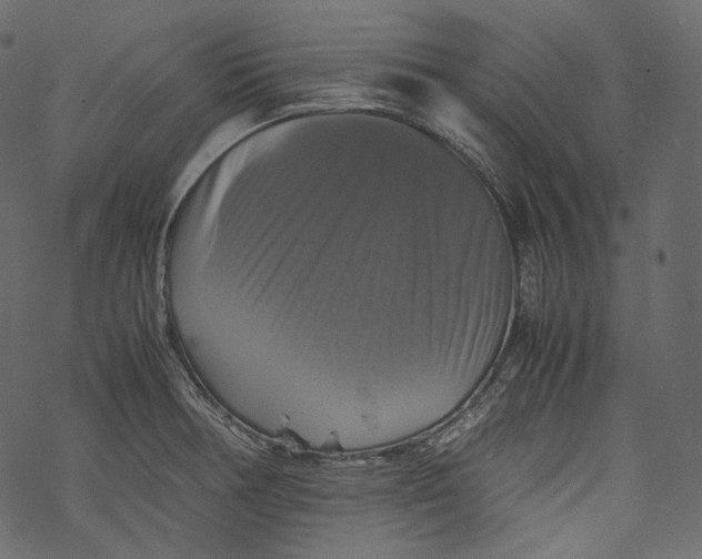 X0000067891378200605041541