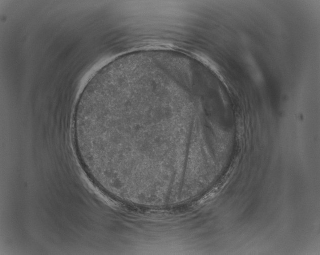 X0000067891379200605041541