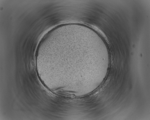 X0000067891380200605041541