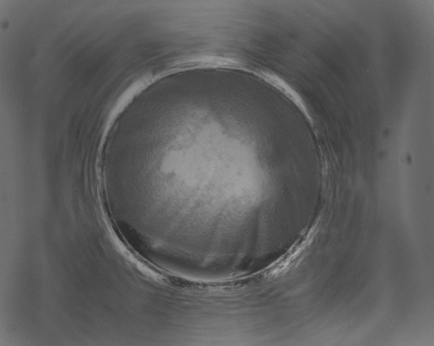 X0000067891381200605041541