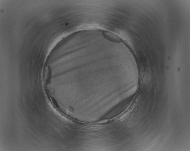 X0000067891382200605041541