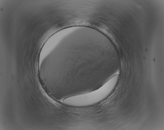 X0000067891383200605041541