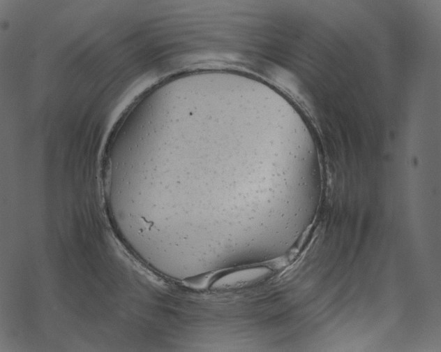 X0000067891384200605041541