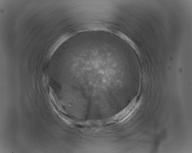 X0000067891385200605041541