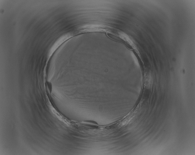 X0000067891386200605041541