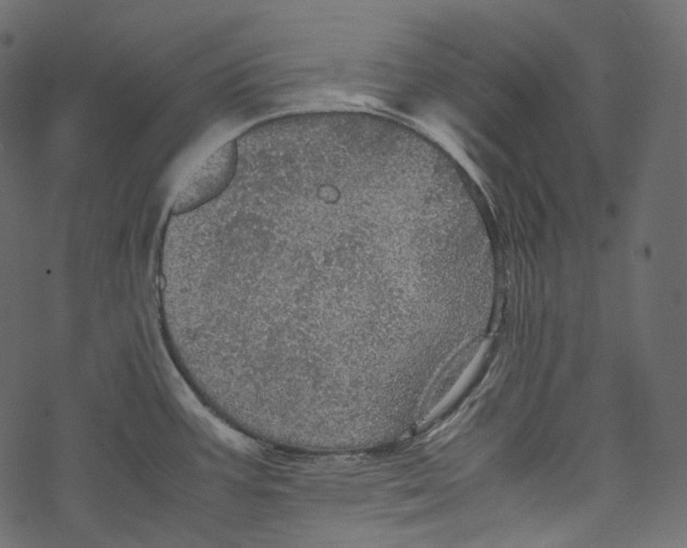 X0000067891387200605041541