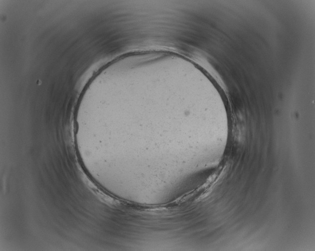 X0000067891388200605041541