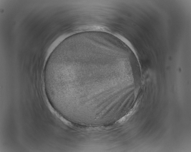 X0000067891389200605041541