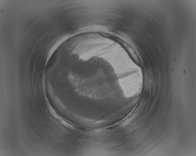 X0000067891390200605041541