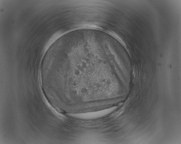 X0000067891391200605041541