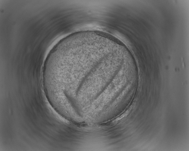 X0000067891392200605041541