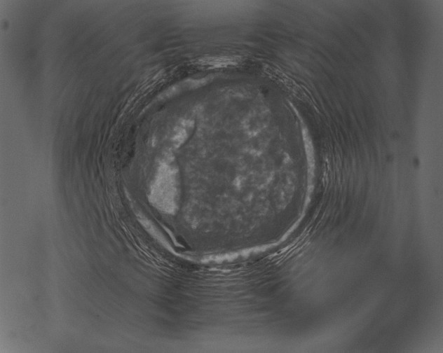 X0000067891393200605041540