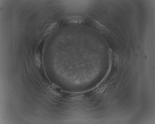 X0000067891394200605041540