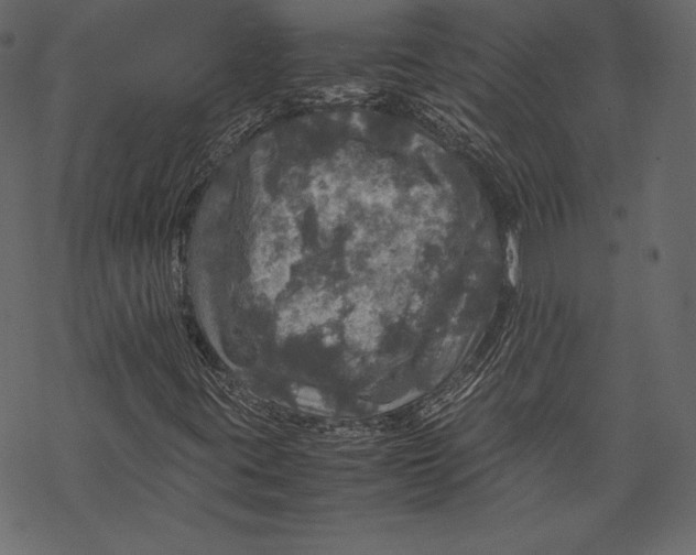 X0000067891395200605041540