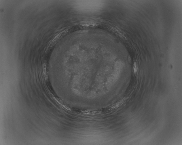 X0000067891396200605041540