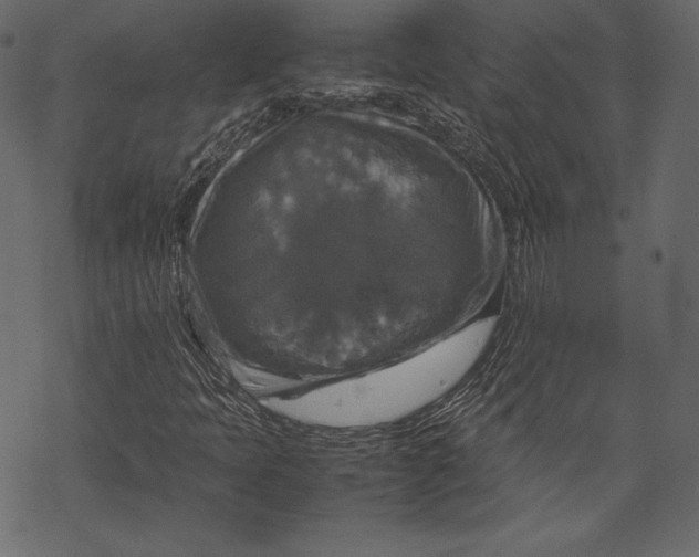 X0000067891397200605041540