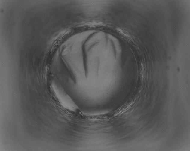 X0000067891398200605041540