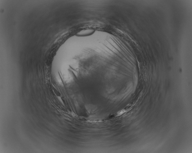 X0000067891399200605041540