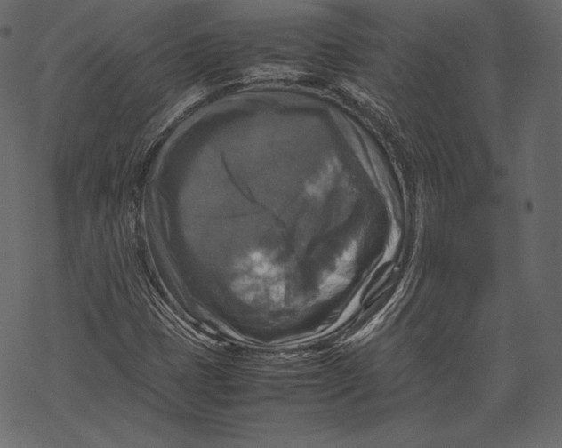 X0000067891401200605041540