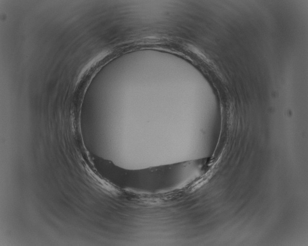 X0000067891402200605041540