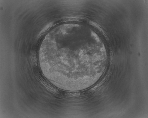 X0000067891403200605041540