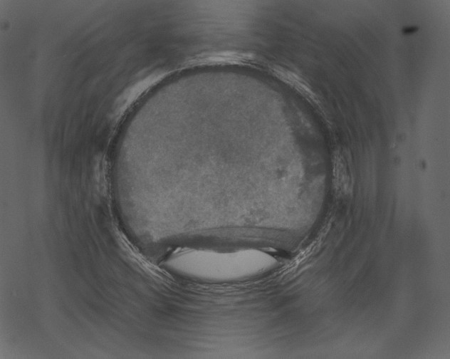 X0000067891404200605041541