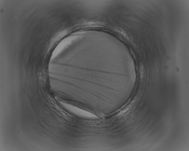 X0000067891405200605041541