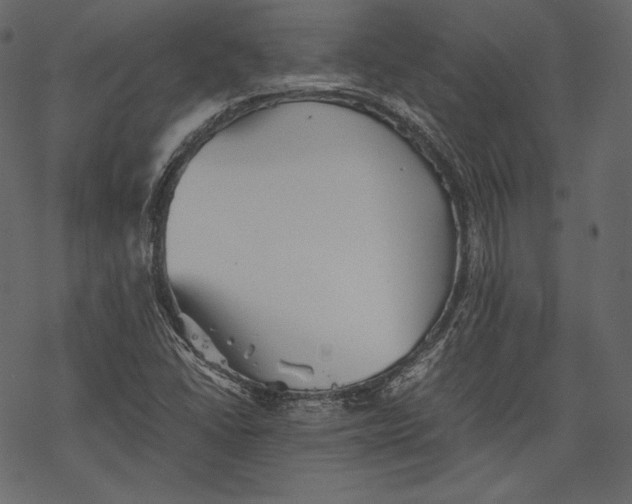 X0000067891406200605041541