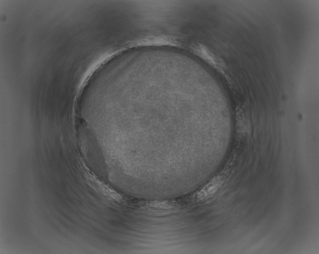 X0000067891408200605041541