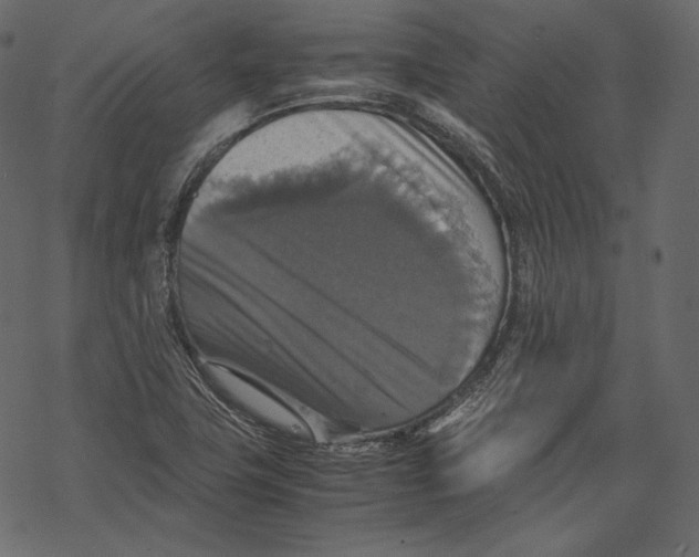 X0000067891411200605041541